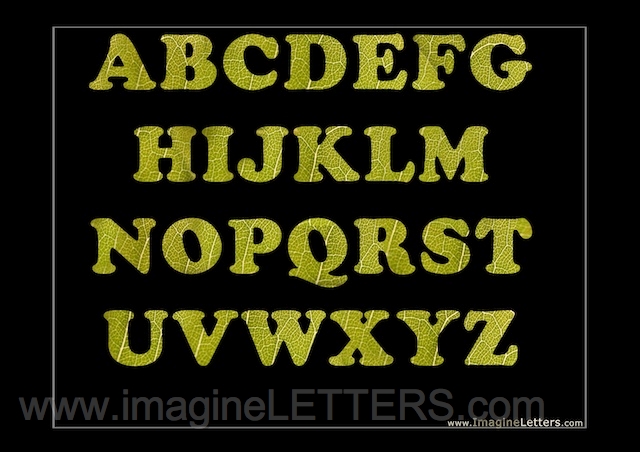 Wall_Art_Alphabet_Photography_Art_ 143.jpg